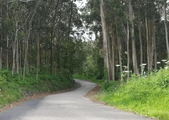 Casa Crisa ヴィラ マリン